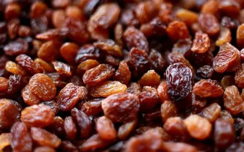 خرید و قیمت کشمش سایه خشک