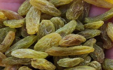 کشمش ریش بابا | قیمت مناسب خرید عالی