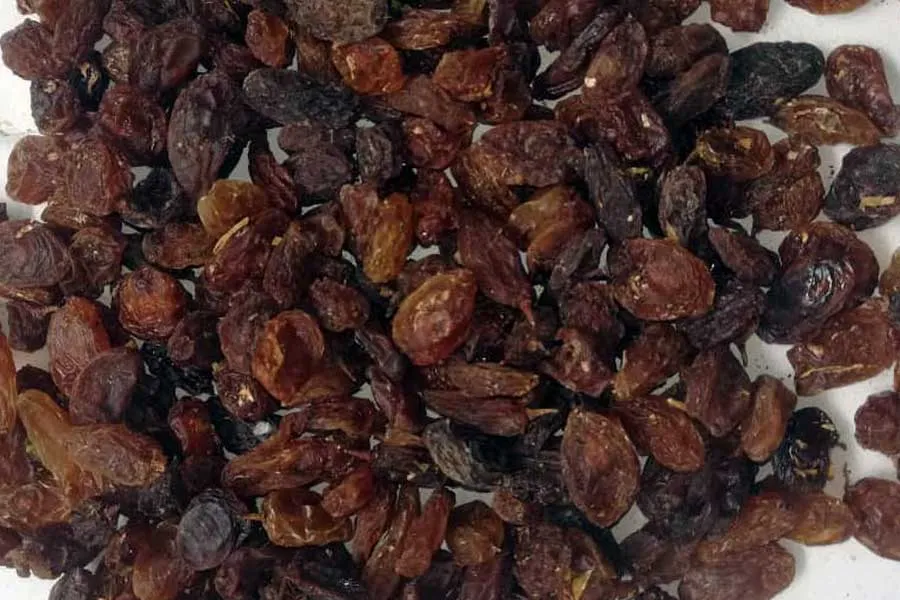 خرید کشمش صنعتی  با قیمت استثنایی